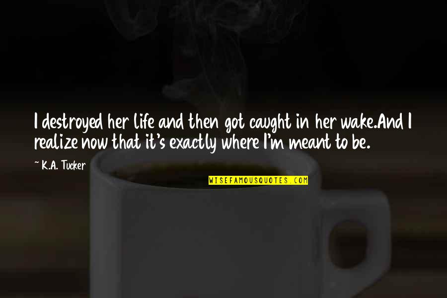 Life Destroyed Quotes By K.A. Tucker: I destroyed her life and then got caught