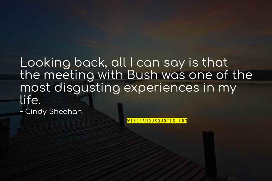 Life Disgusting Quotes By Cindy Sheehan: Looking back, all I can say is that