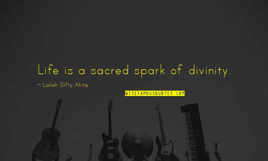 Life Divinity Quotes By Lailah Gifty Akita: Life is a sacred spark of divinity.