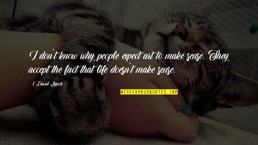 Life Doesn't Make Sense Quotes By David Lynch: I don't know why people expect art to