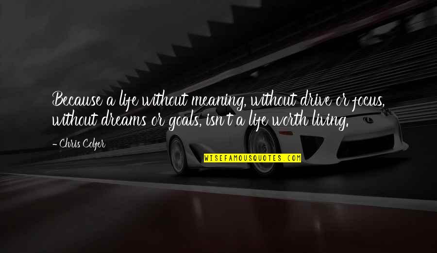 Life Dreams Goals Quotes By Chris Colfer: Because a life without meaning, without drive or