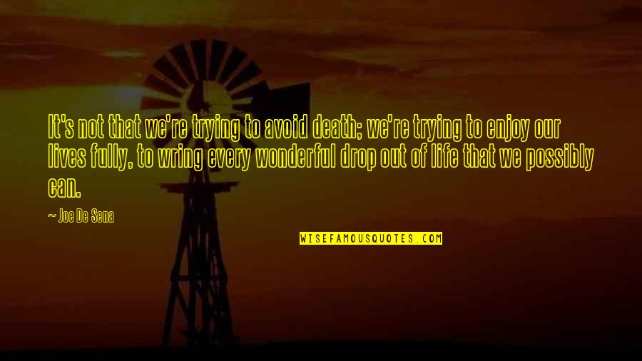 Life Drop Quotes By Joe De Sena: It's not that we're trying to avoid death; Life Drop Quotes By Joe De Sena: It's not that we're trying to avoid death;