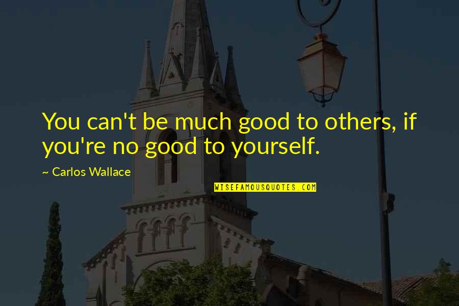 Life Ending Suddenly Quotes By Carlos Wallace: You can't be much good to others, if