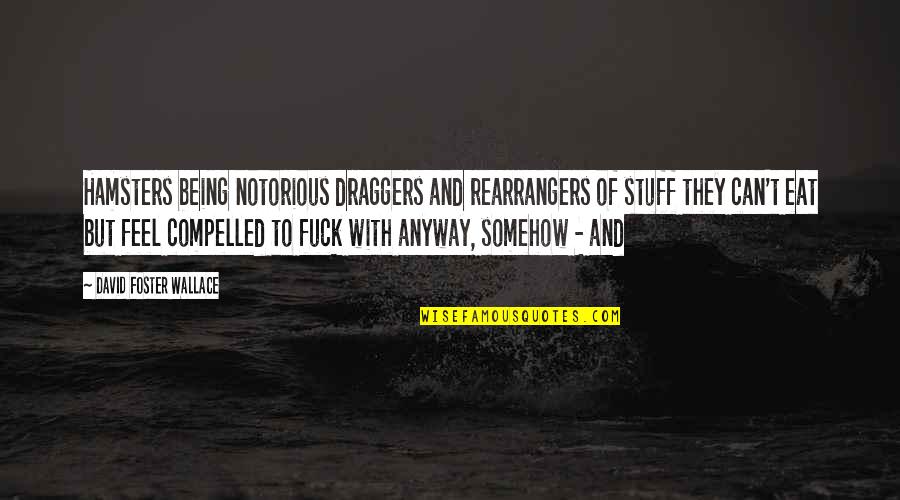 Life Enhancing Quotes By David Foster Wallace: Hamsters being notorious draggers and rearrangers of stuff