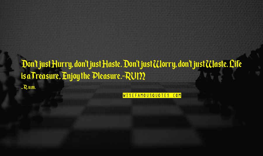 Life Enjoy Quotes By R.v.m.: Don't just Hurry, don't just Haste. Don't just