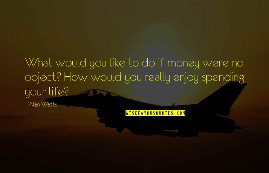 Life Enjoy Your Life Quotes By Alan Watts: What would you like to do if money