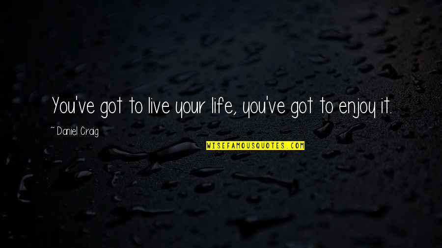 Life Enjoy Your Life Quotes By Daniel Craig: You've got to live your life, you've got