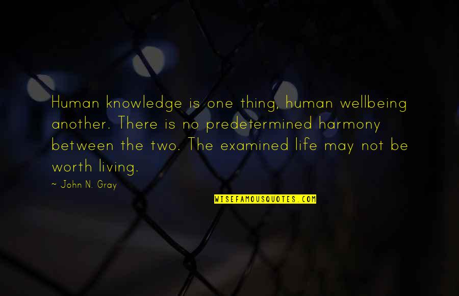 Life Examined Quotes By John N. Gray: Human knowledge is one thing, human wellbeing another.