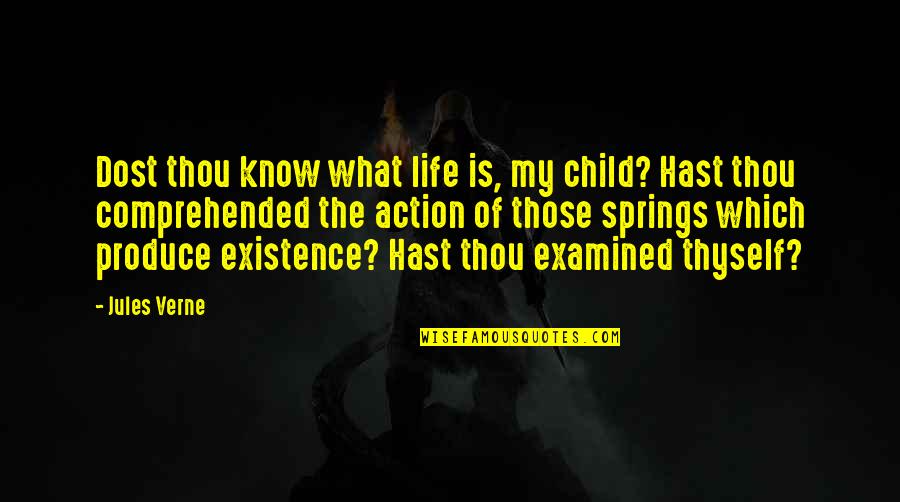 Life Examined Quotes By Jules Verne: Dost thou know what life is, my child?