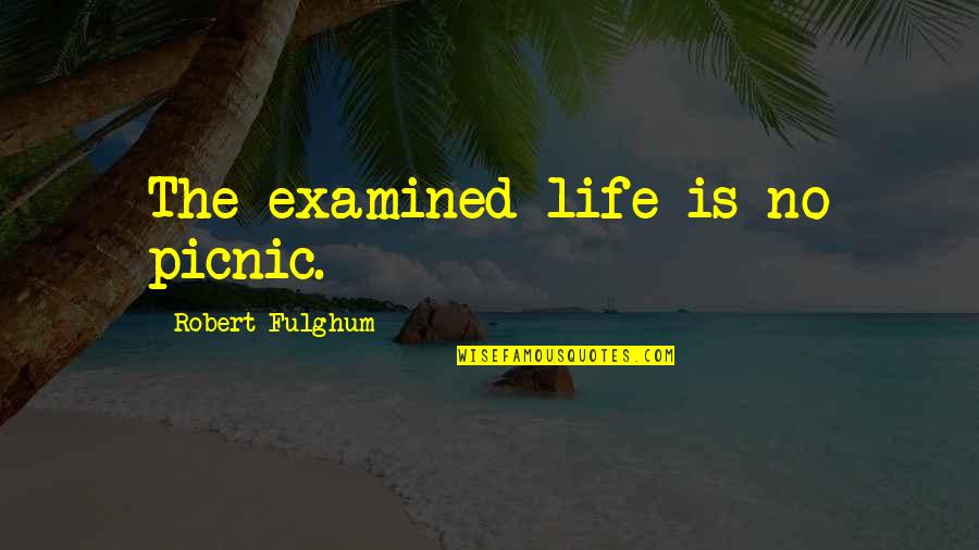Life Examined Quotes By Robert Fulghum: The examined life is no picnic.