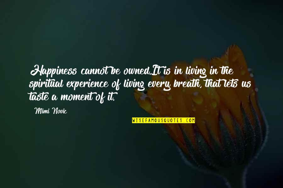 Life Experience Quotes By Mimi Novic: Happiness cannot be owned.It is in living in