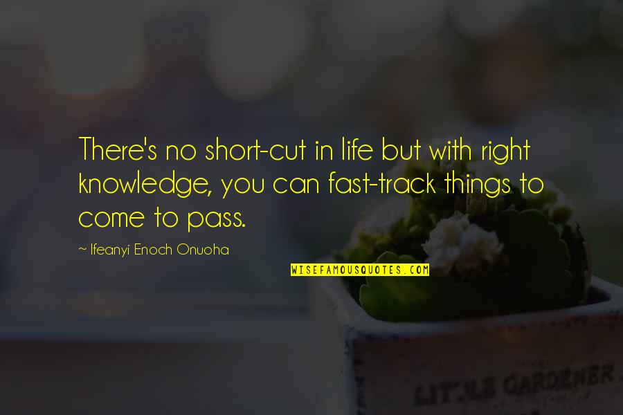 Life Fate Quotes By Ifeanyi Enoch Onuoha: There's no short-cut in life but with right