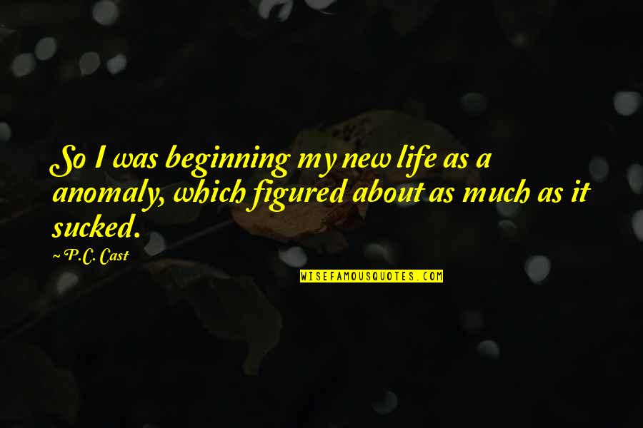 Life Figured Out Quotes By P.C. Cast: So I was beginning my new life as