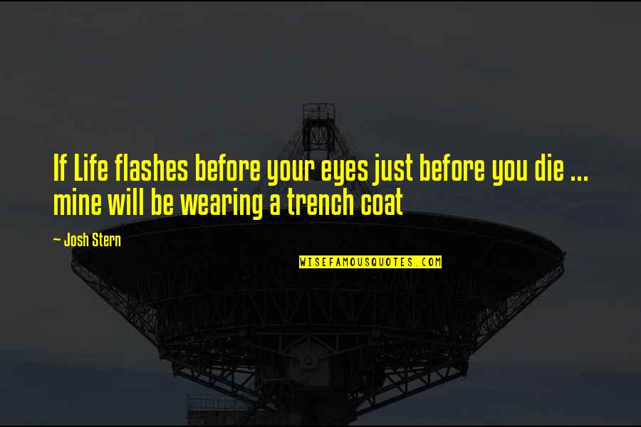 Life Flashes Before Eyes Quotes By Josh Stern: If Life flashes before your eyes just before