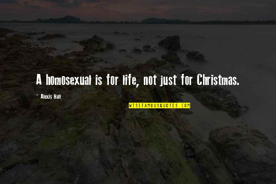 Life For Christmas Quotes By Alexis Hall: A homosexual is for life, not just for