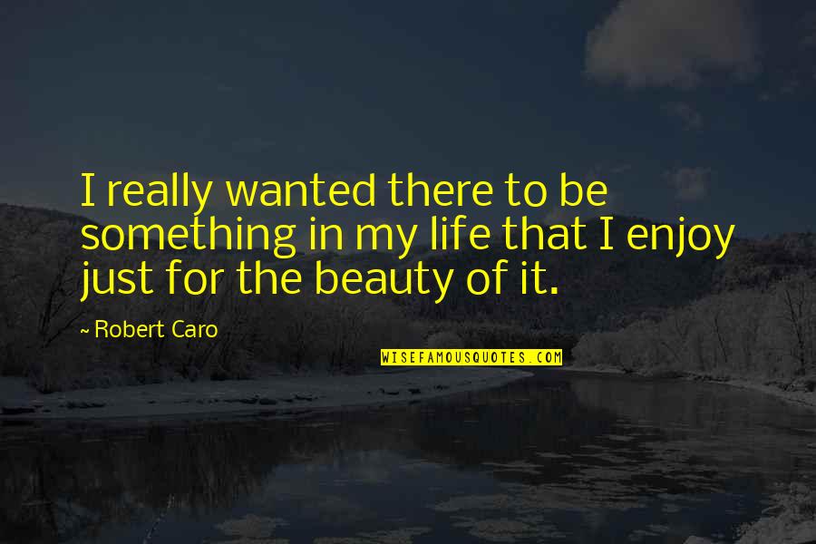 Life For Enjoy Quotes By Robert Caro: I really wanted there to be something in