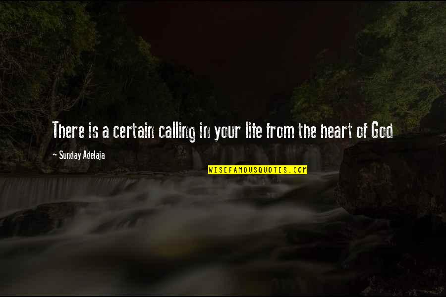 Life From God Quotes By Sunday Adelaja: There is a certain calling in your life