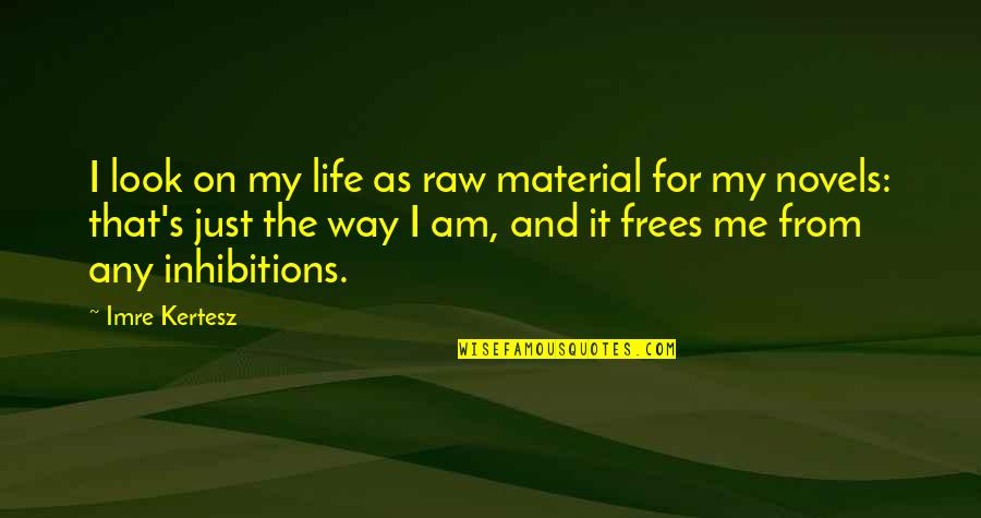 Life From Novels Quotes By Imre Kertesz: I look on my life as raw material
