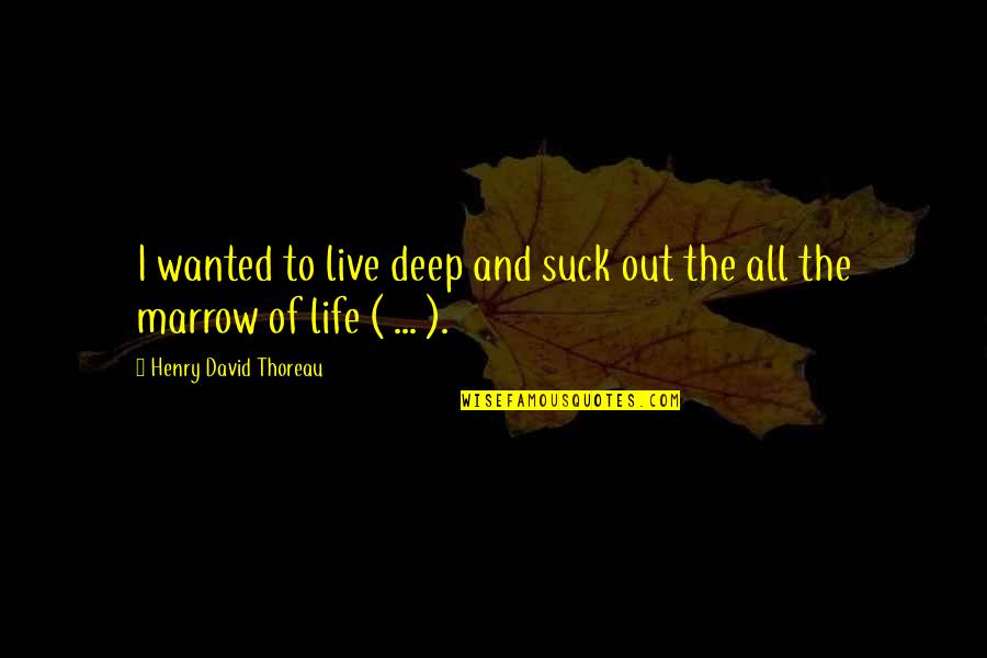 Life From Poets Quotes By Henry David Thoreau: I wanted to live deep and suck out