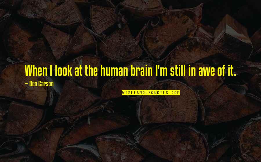 Life Full Of Colours Quotes By Ben Carson: When I look at the human brain I'm
