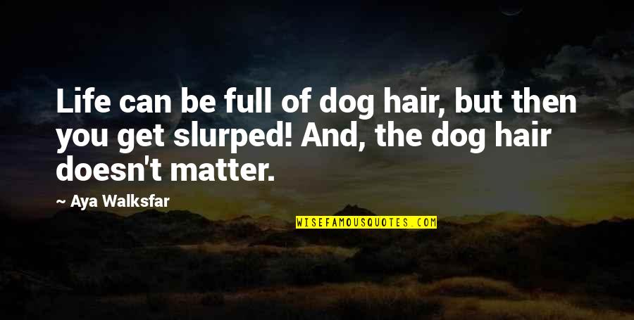Life Full Quotes By Aya Walksfar: Life can be full of dog hair, but