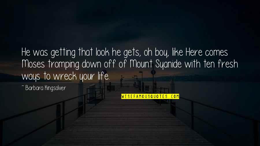 Life Gets You Down Quotes By Barbara Kingsolver: He was getting that look he gets, oh