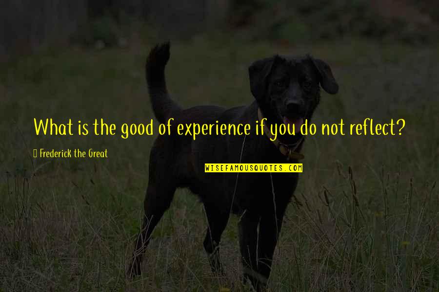 Life Give Me A Break Quotes By Frederick The Great: What is the good of experience if you