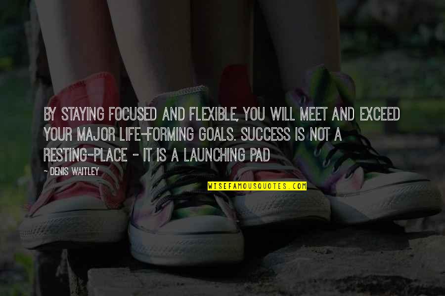 Life Goals And Success Quotes By Denis Waitley: By staying focused and flexible, you will meet
