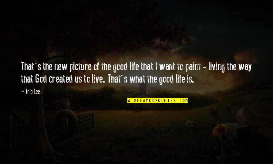 Life God Is Good Quotes By Trip Lee: That's the new picture of the good life