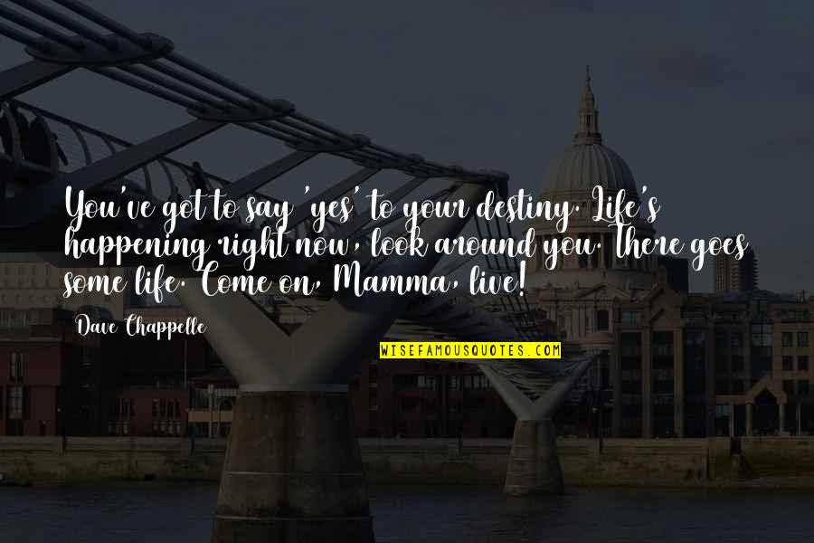 Life Goes Quotes By Dave Chappelle: You've got to say 'yes' to your destiny.