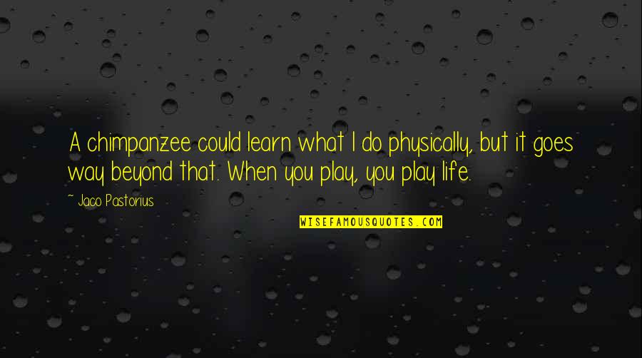 Life Goes Quotes By Jaco Pastorius: A chimpanzee could learn what I do physically,