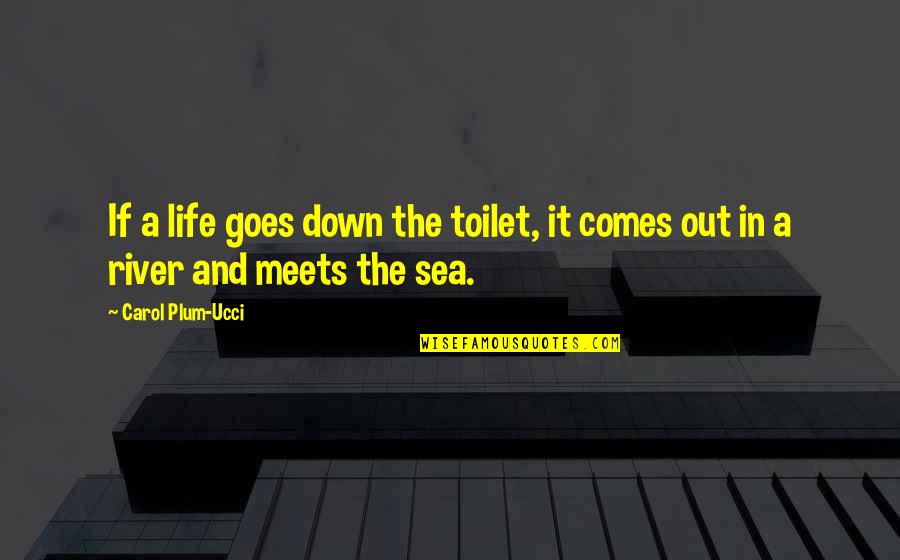 Life Goes Up And Down Quotes By Carol Plum-Ucci: If a life goes down the toilet, it