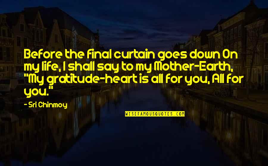 Life Goes Up And Down Quotes By Sri Chinmoy: Before the final curtain goes down On my