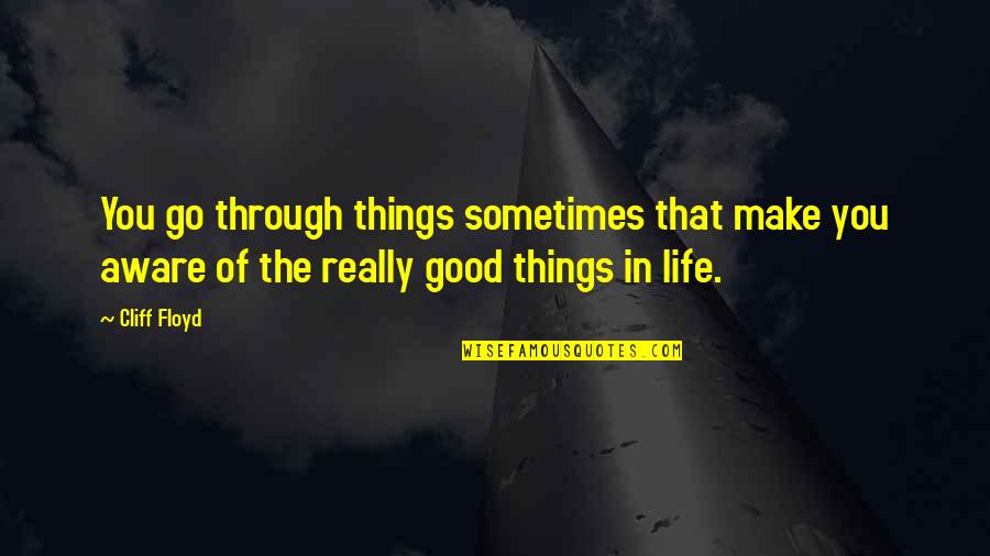 Life Good Things Quotes By Cliff Floyd: You go through things sometimes that make you