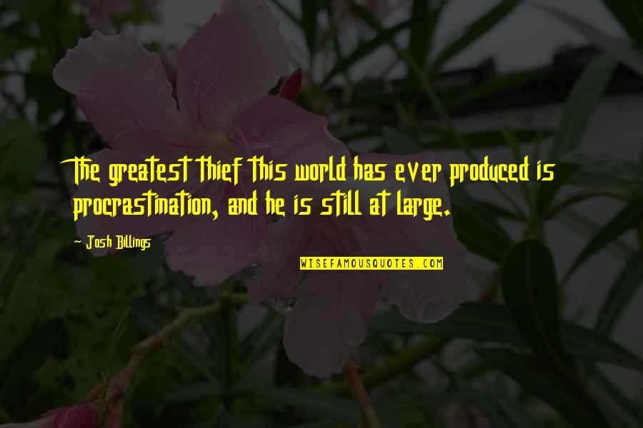 Life Greatest Quotes By Josh Billings: The greatest thief this world has ever produced