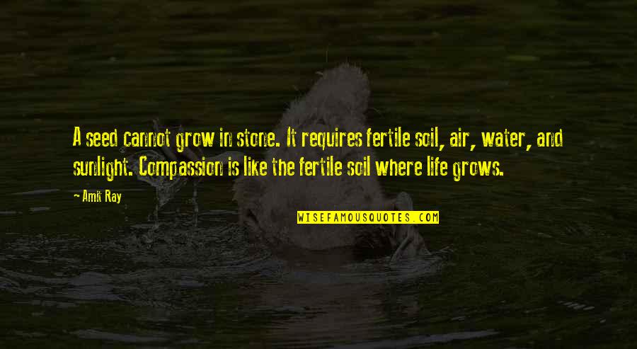 Life Grows Quotes By Amit Ray: A seed cannot grow in stone. It requires