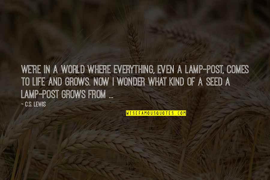 Life Grows Quotes By C.S. Lewis: We're in a world where everything, even a