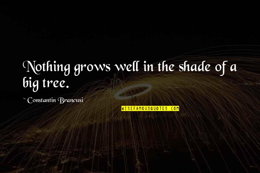 Life Grows Quotes By Constantin Brancusi: Nothing grows well in the shade of a