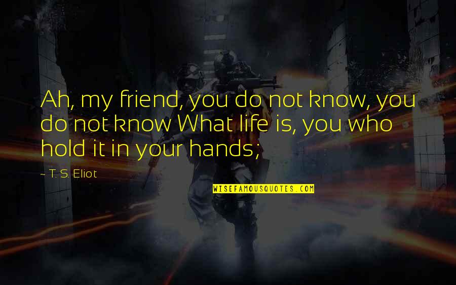 Life Hands You Quotes By T. S. Eliot: Ah, my friend, you do not know, you