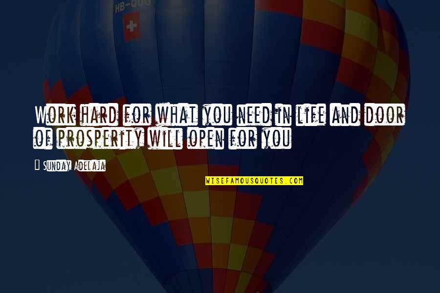 Life Hard Work Quotes By Sunday Adelaja: Work hard for what you need in life