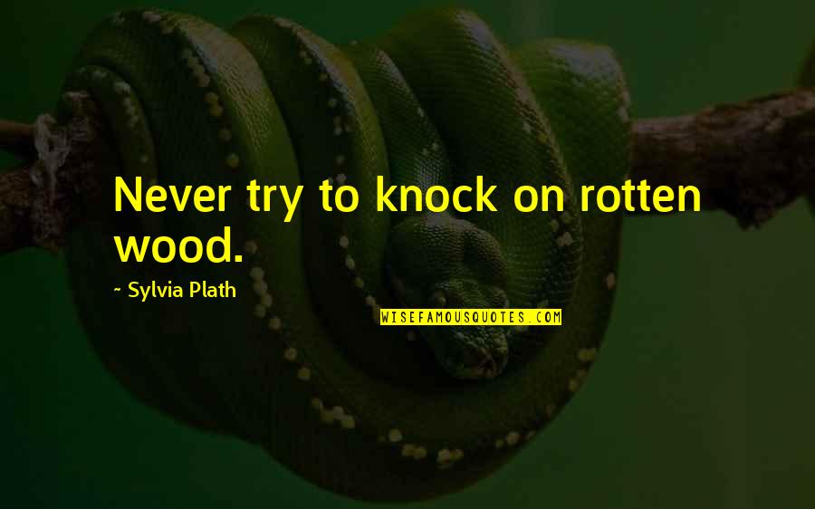 Life Has Its Mysteries Quotes By Sylvia Plath: Never try to knock on rotten wood.