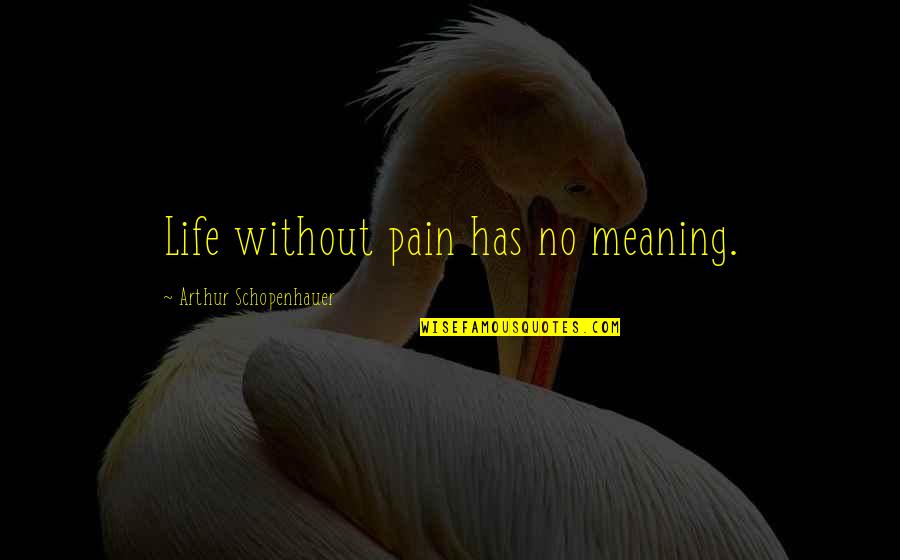 Life Has Meaning Quotes By Arthur Schopenhauer: Life without pain has no meaning.