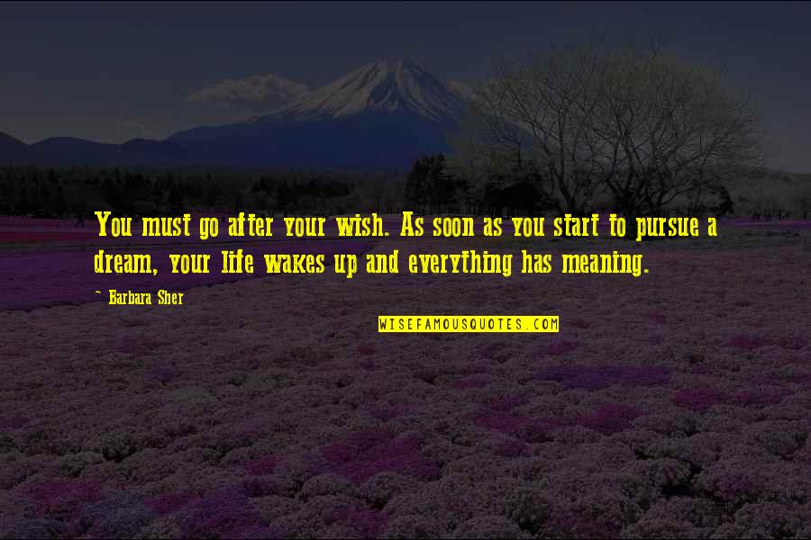 Life Has Meaning Quotes By Barbara Sher: You must go after your wish. As soon