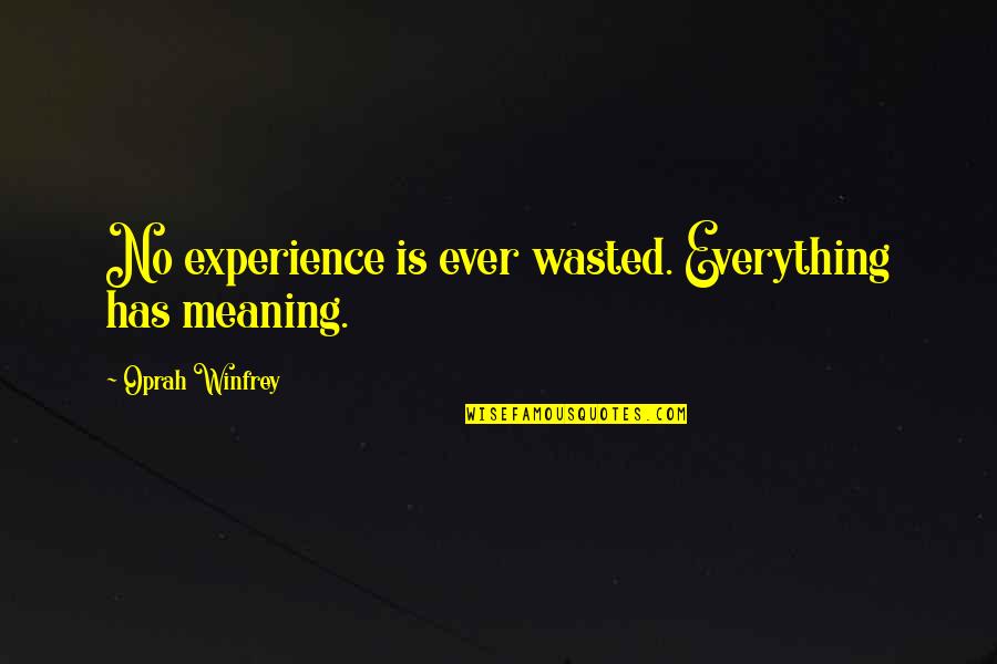 Life Has Meaning Quotes By Oprah Winfrey: No experience is ever wasted. Everything has meaning.