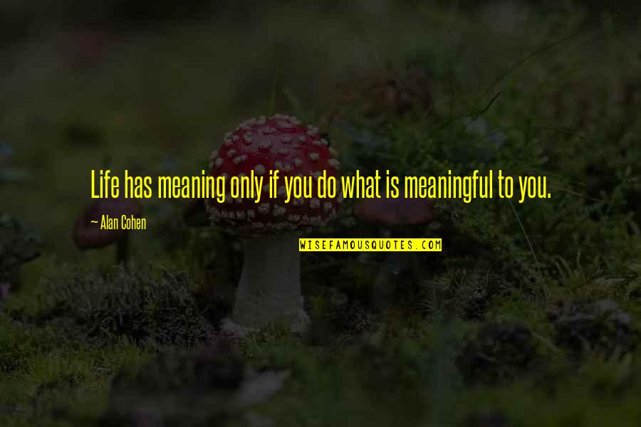 Life Has No Meaning Without You Quotes By Alan Cohen: Life has meaning only if you do what