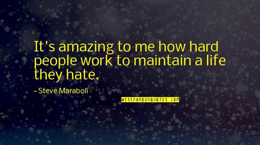 Life Hate Quotes By Steve Maraboli: It's amazing to me how hard people work