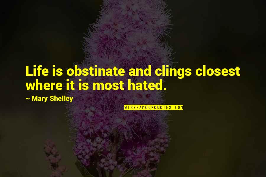 Life Hated Quotes By Mary Shelley: Life is obstinate and clings closest where it