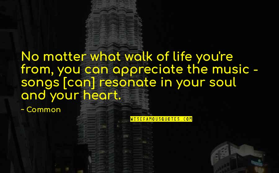 Life Heart And Soul Quotes By Common: No matter what walk of life you're from,