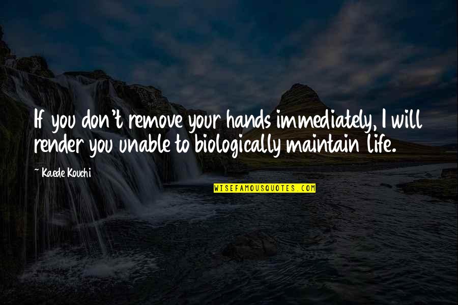 Life Humour Quotes By Kaede Kouchi: If you don't remove your hands immediately, I