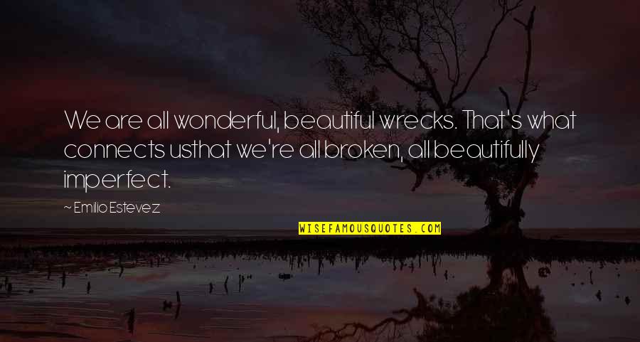 Life Imperfection Quotes By Emilio Estevez: We are all wonderful, beautiful wrecks. That's what Life Imperfection Quotes By Emilio Estevez: We are all wonderful, beautiful wrecks. That's what